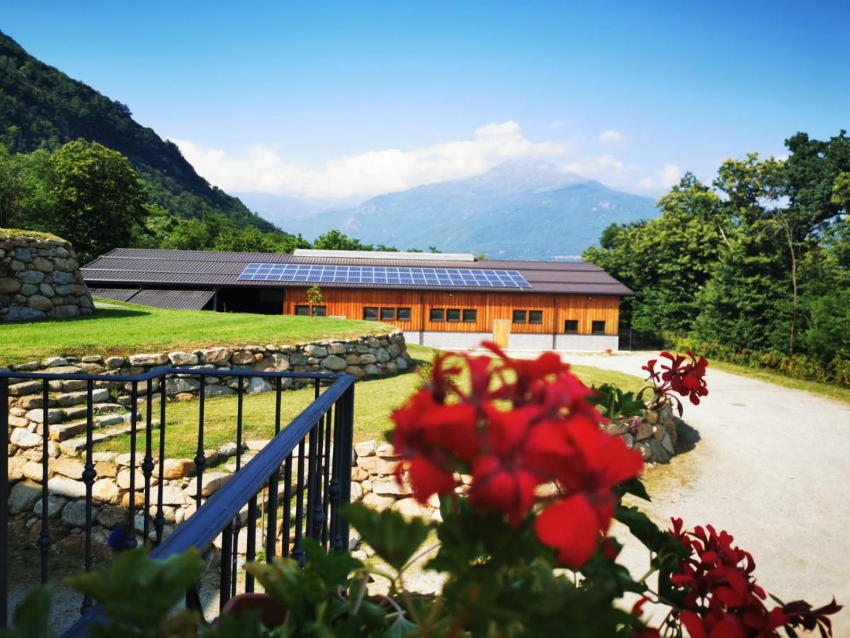 Agriturismo La Ca' D'Amelio Lessolo Екстериор снимка