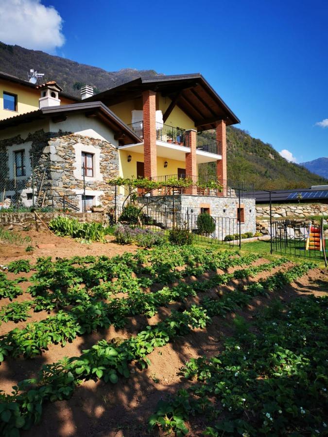 Agriturismo La Ca' D'Amelio Lessolo Екстериор снимка