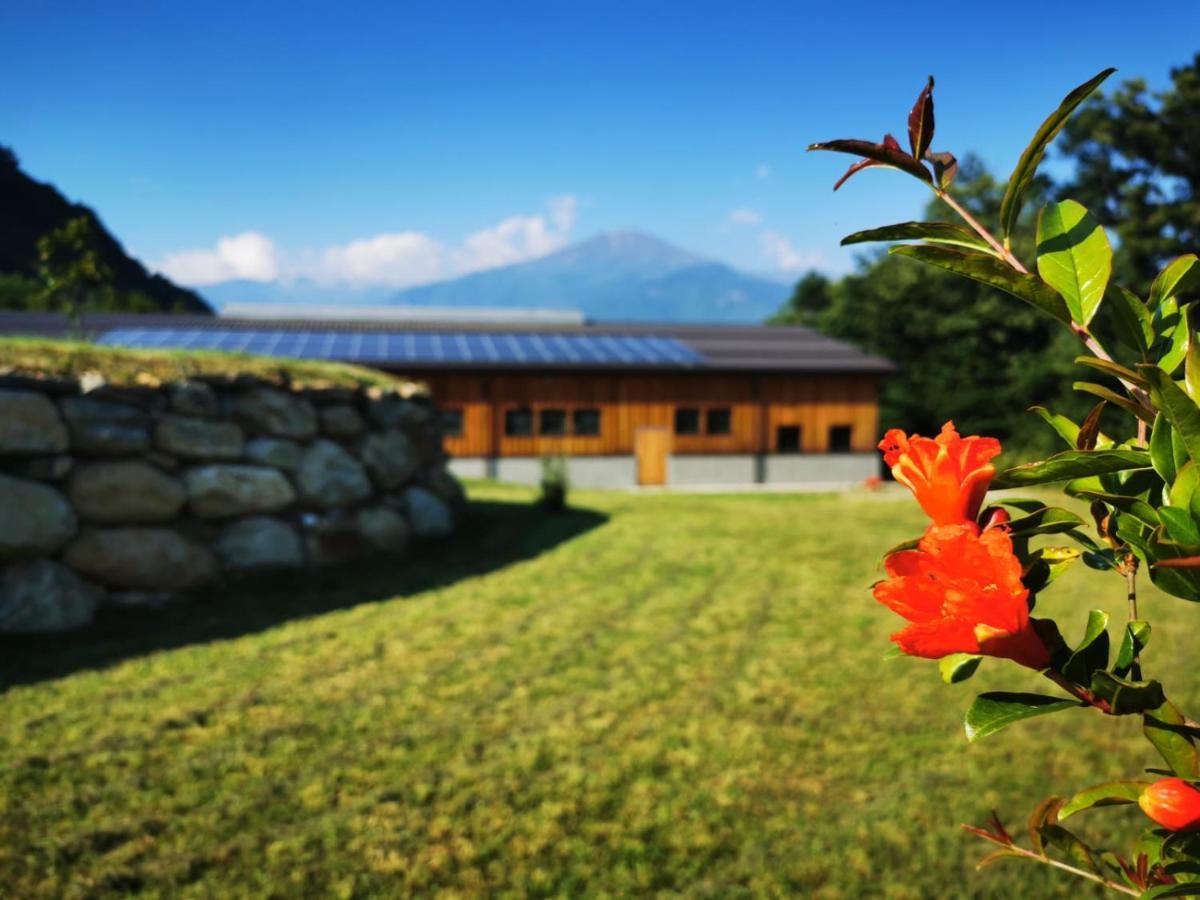 Agriturismo La Ca' D'Amelio Lessolo Екстериор снимка